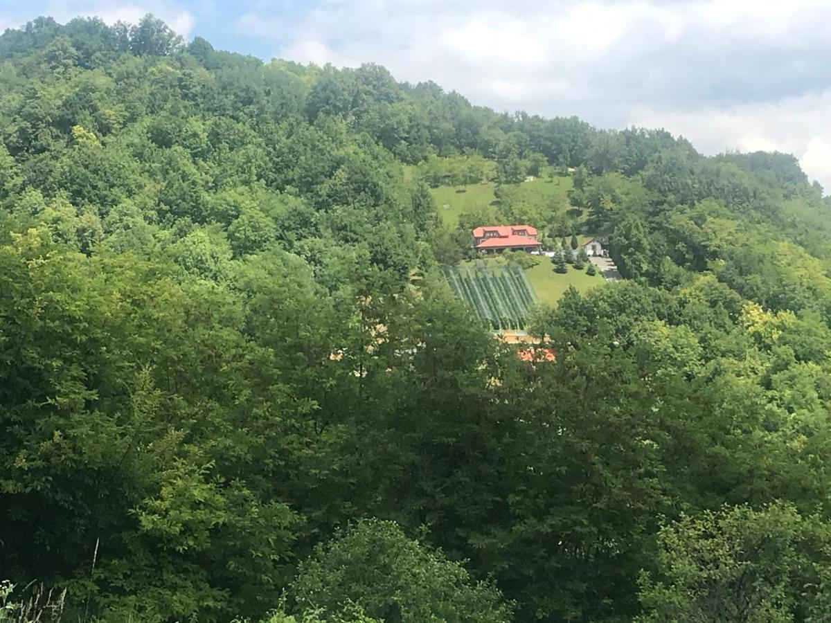 Kuca Za Odmor Magdalena&V Apartamento Krapina Exterior foto
