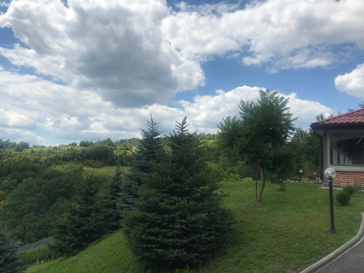 Kuca Za Odmor Magdalena&V Apartamento Krapina Exterior foto