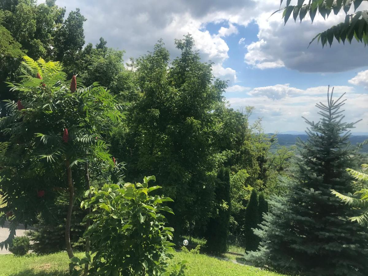 Kuca Za Odmor Magdalena&V Apartamento Krapina Exterior foto