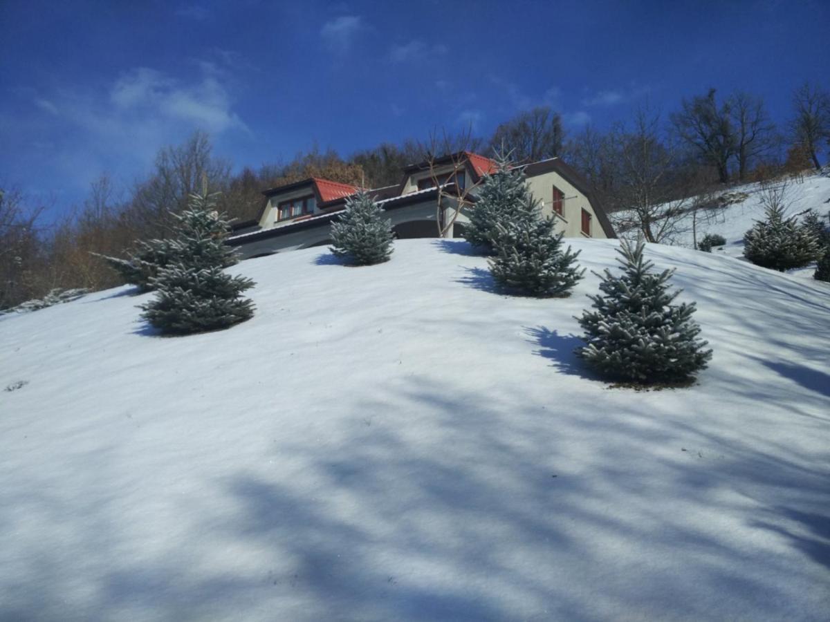 Kuca Za Odmor Magdalena&V Apartamento Krapina Exterior foto